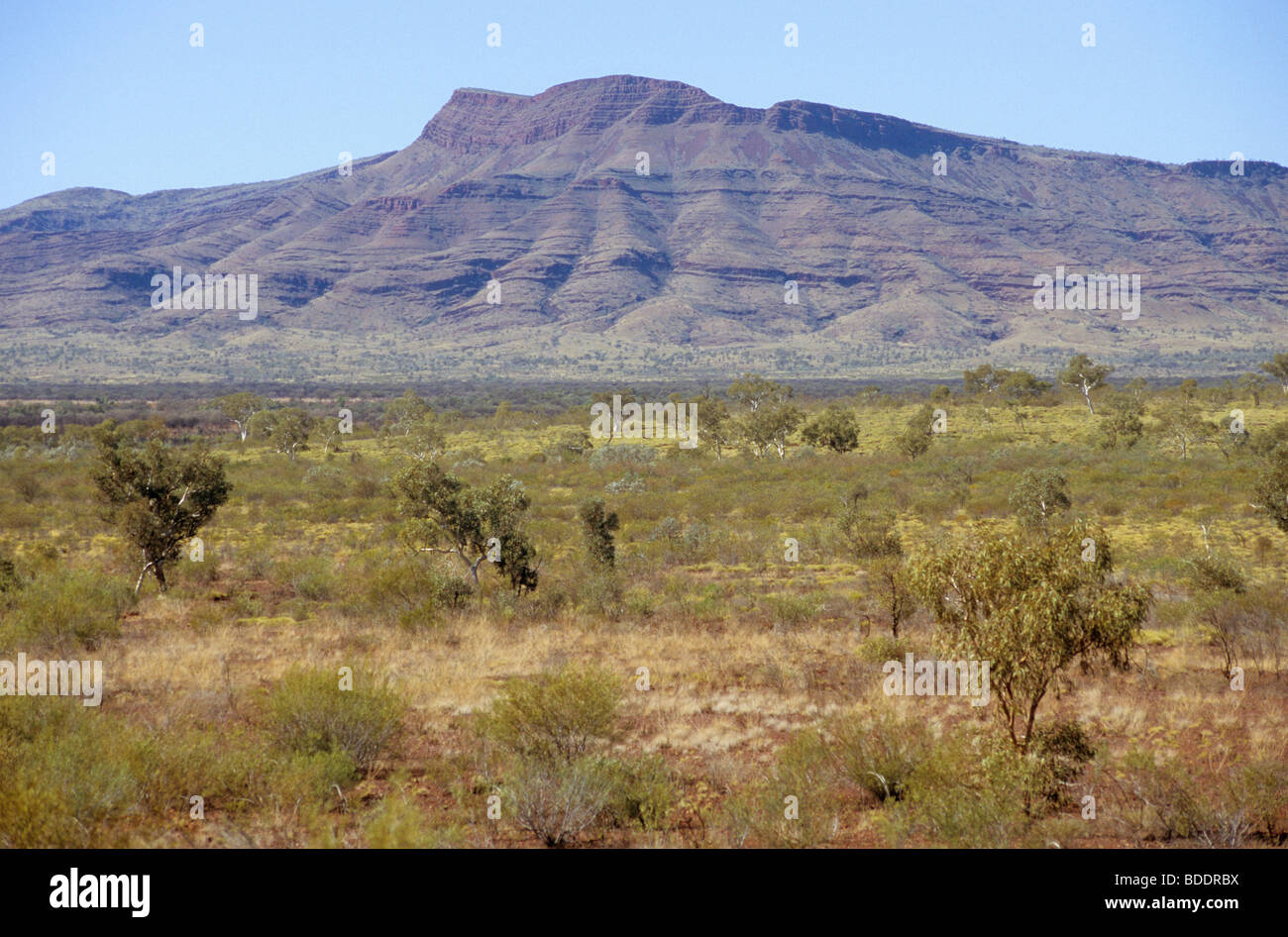 Die Hamersley Range, im Karijini National Park, Western Australia. Stockfoto