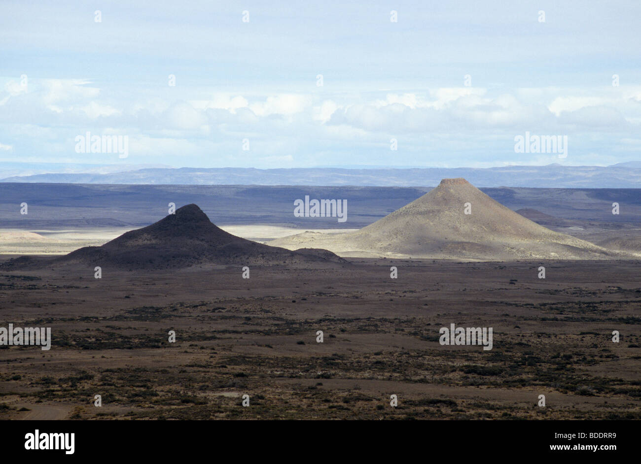 Der patagonischen Wüste. Provinz Chubut, Argentinien. Stockfoto