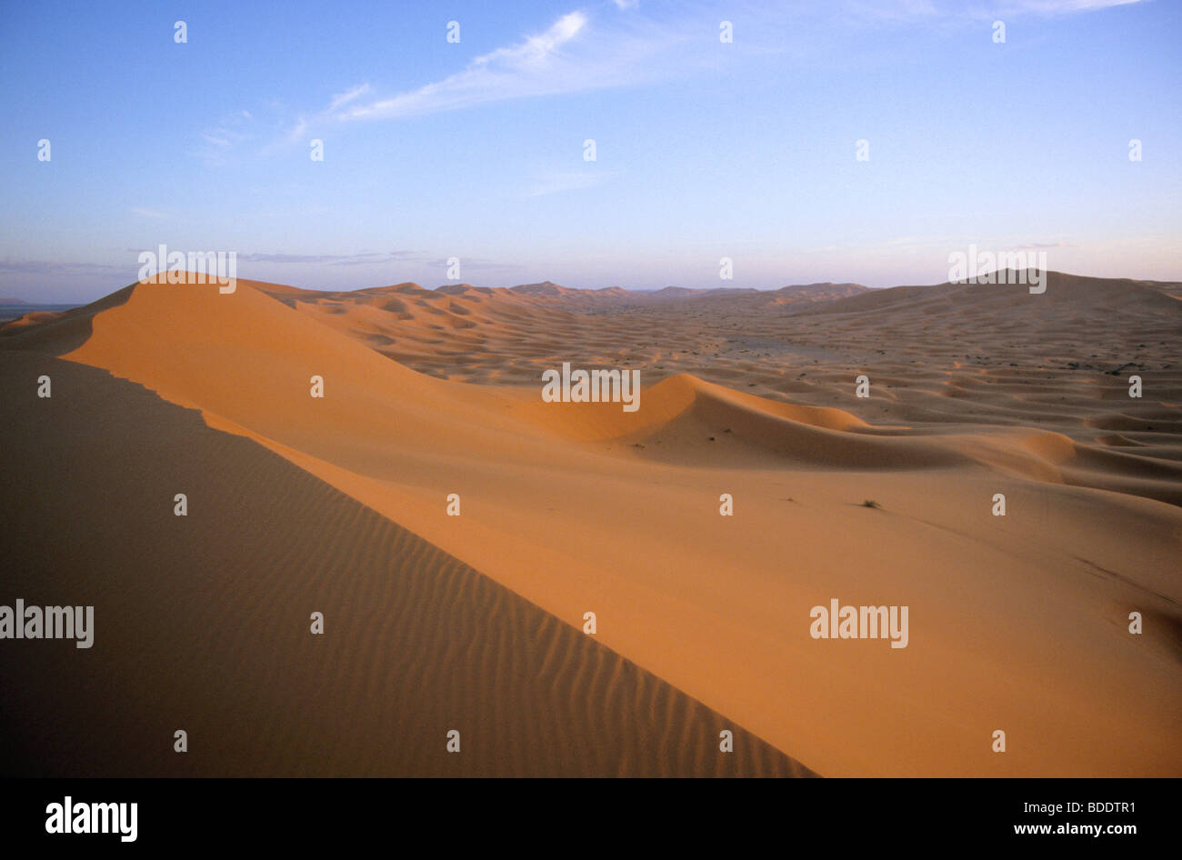 Die riesigen Dünen des Erg Chebbi, Merzouga. in der Sahara Wüste von Südmarokko. Stockfoto