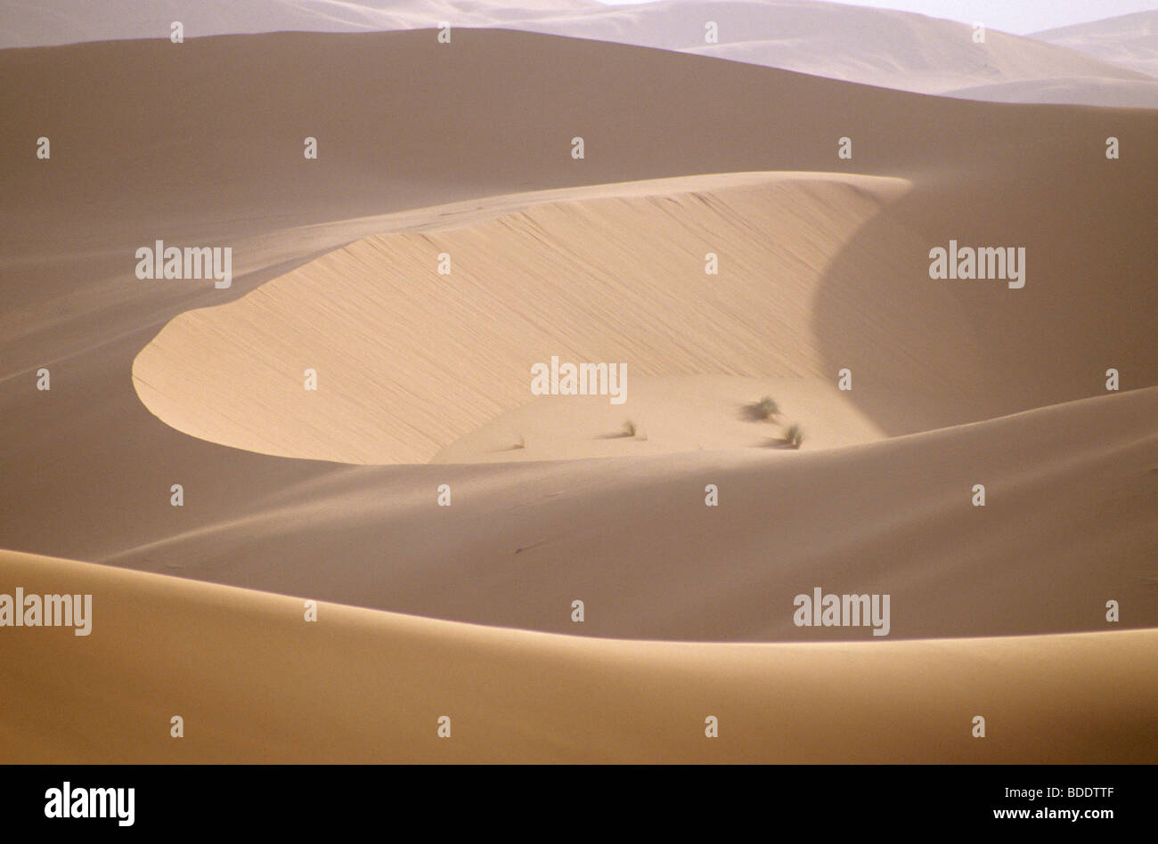 Die riesigen Dünen des Erg Chebbi, Merzouga. in der Sahara Wüste von Südmarokko. Stockfoto