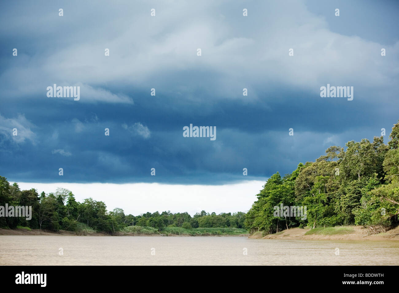 Kinabatang-River-Region ist einer der besten Orte, Tierbeobachtung in Sabah, Borneo, Malaysia. Stockfoto