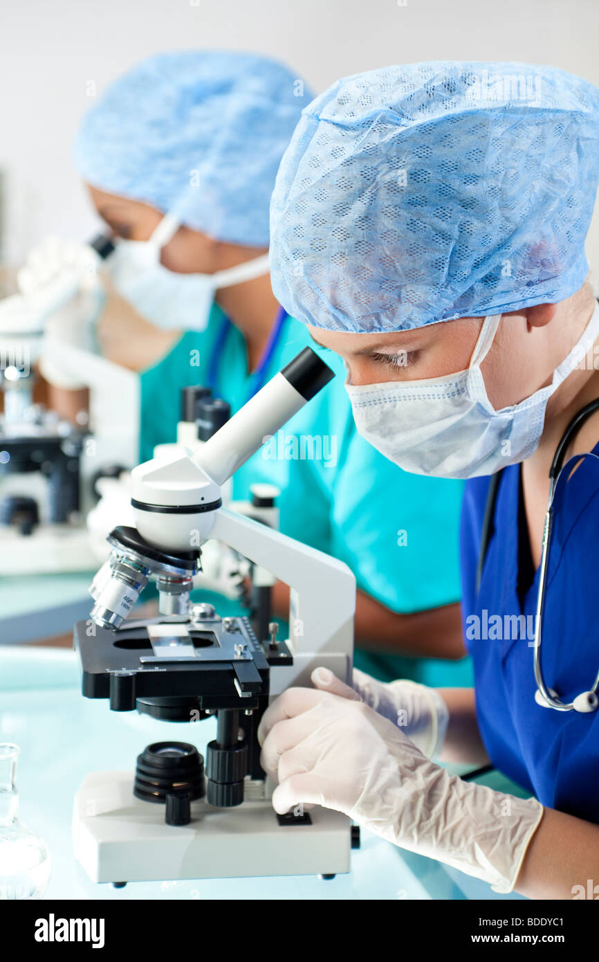 Zwei weibliche medizinische oder wissenschaftliche Forscher oder Ärzte, eine asiatische eine europäische Mikroskopie in einem Labor. Stockfoto