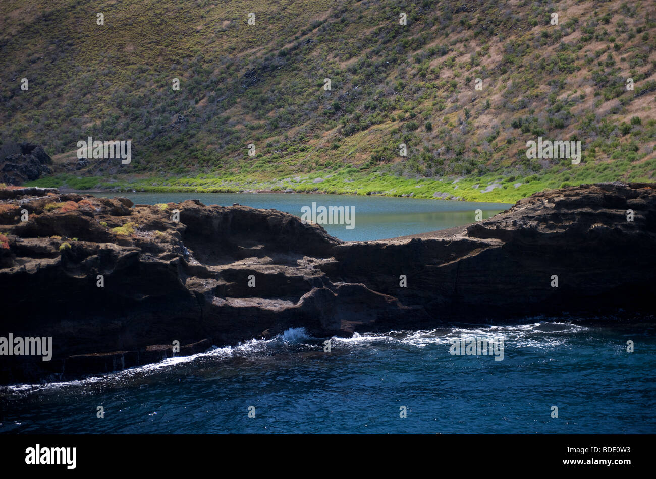 Vulkanische Kratersee, Genovesa Island, Galapagos-Inseln, Ecuador, Südamerika. Stockfoto