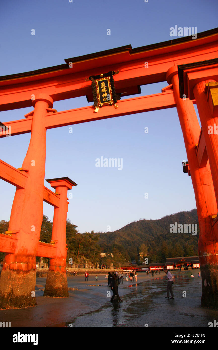 Das berühmte Torii-Tor auf Miyajima, Japan. Stockfoto