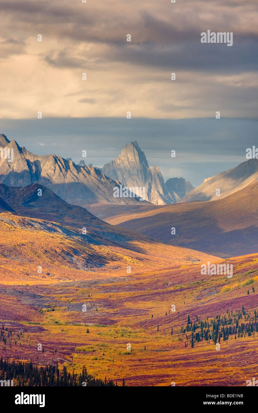 Norden Klondike River Valley mit lebendigen Farben von Herbstlaub, Tombstone Territorial Park Yukon Kanada Stockfoto