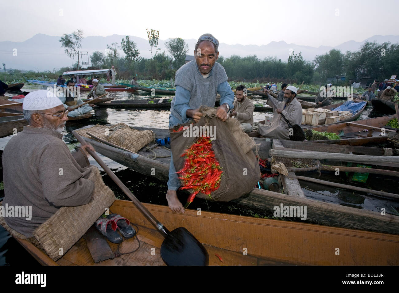 Schwimmenden Markt. Dal-See. Srinagar. Kaschmir. Indien Stockfoto