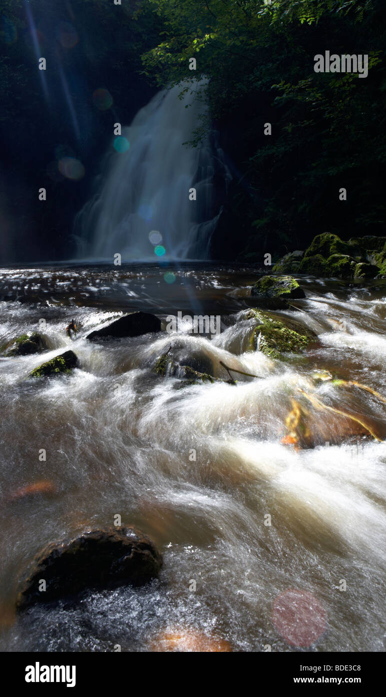 Gleno oder Glenoe Wasserfall County Antrim-Nordirland-Großbritannien Stockfoto