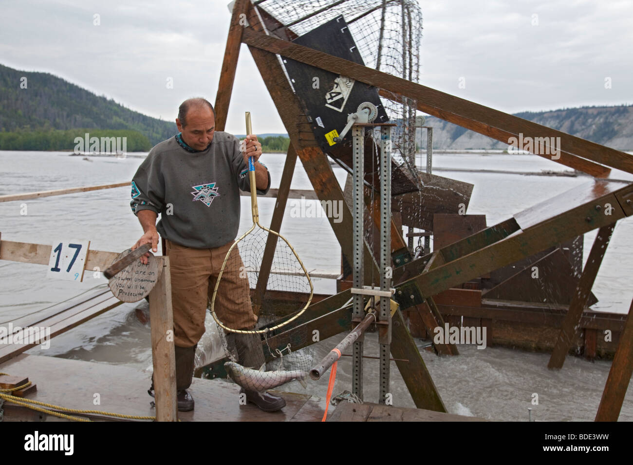 Mann mit Lachs gefangen auf Fisch-Rad in Alaska Stockfoto