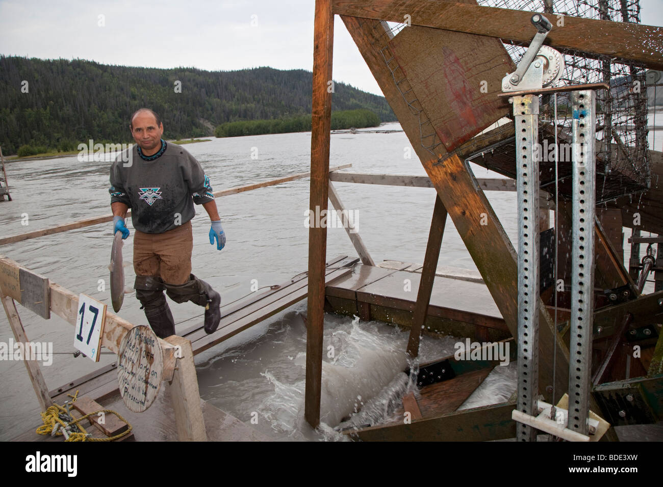 Mann mit Lachs gefangen auf Fisch-Rad in Alaska Stockfoto