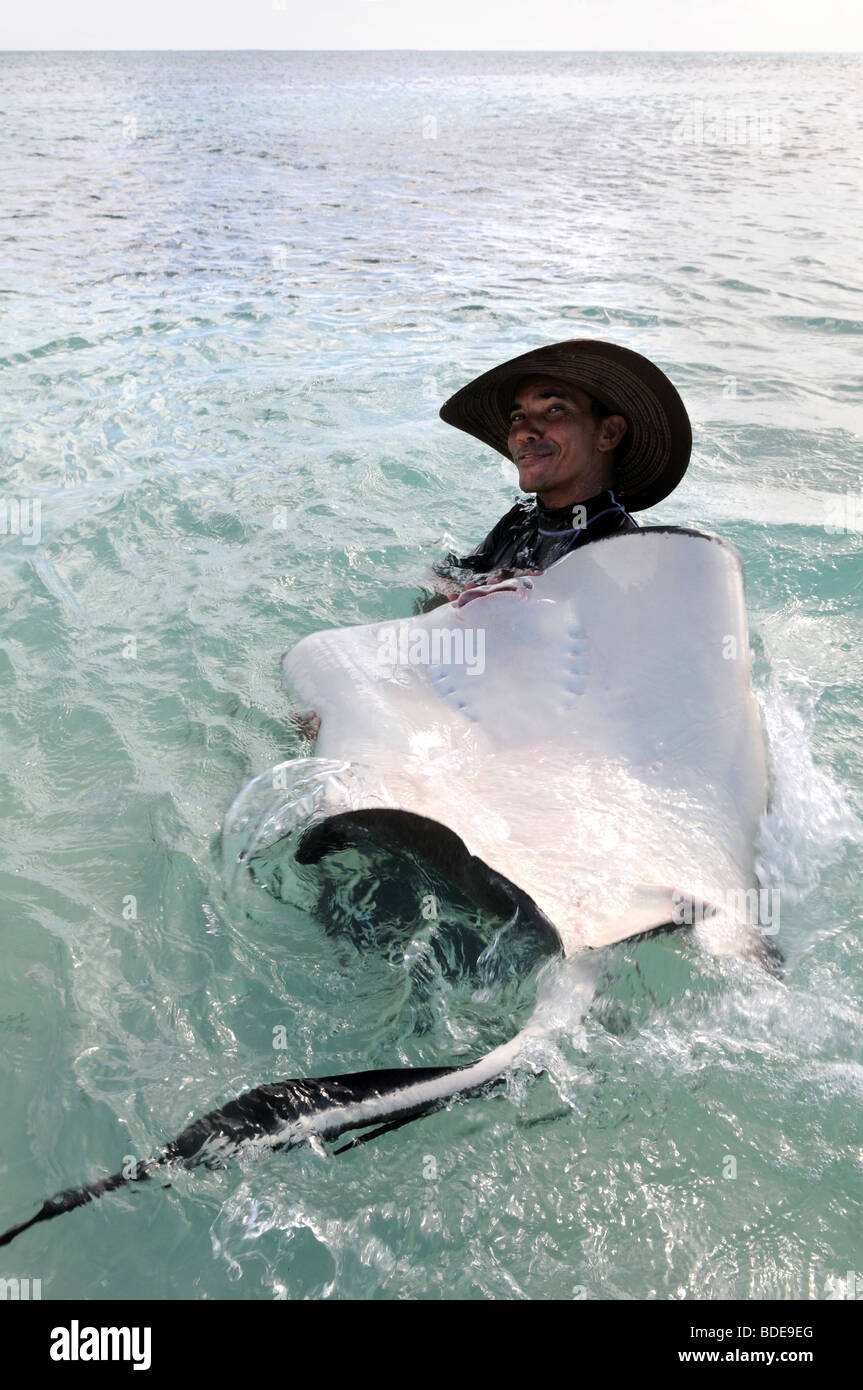 Mann spielt mit Stachelrochen im tropischen Flachwasser Stockfoto