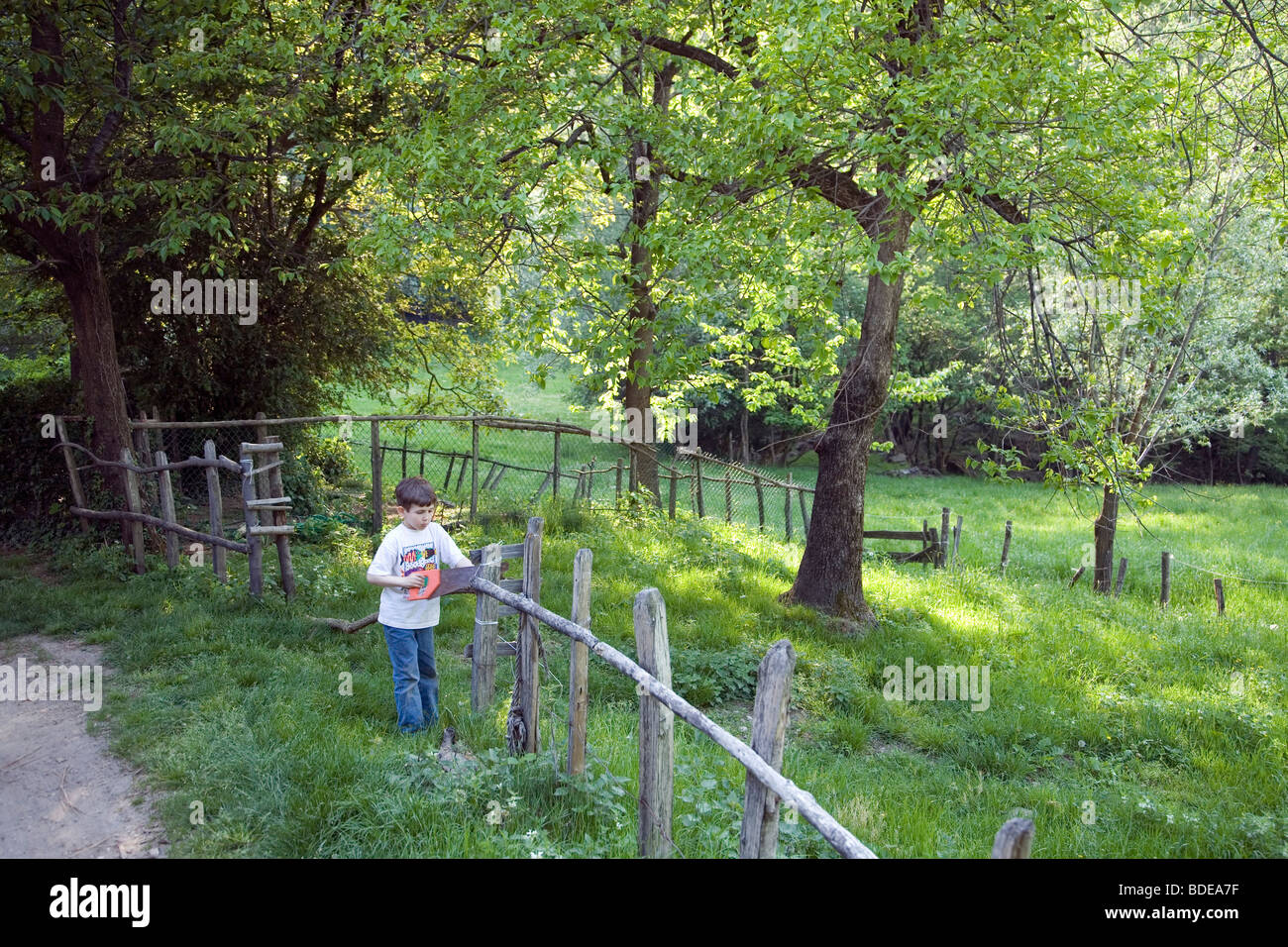 Zerstörung Arbeitnehmer!, 6-jährige Jeremy bei der Arbeit mit einer Säge, die er verwendet, um einen Zaun-Strahl schneiden (es verlangsamt die Kühe aus Kreuzung Stockfoto