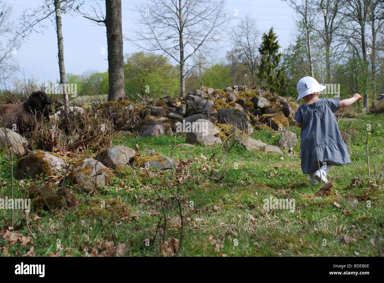 Kind zu Fuß auf einer Frühlingswiese Stockfoto