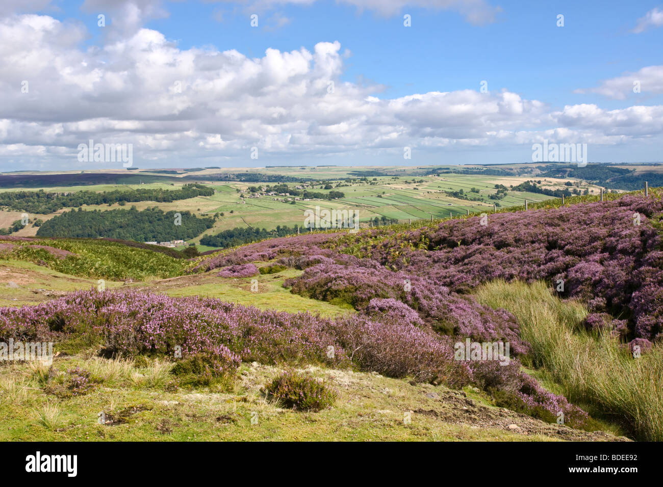 Swaledale. Blick auf Marrick von Ellerton Moor.   North Yorkshire Stockfoto