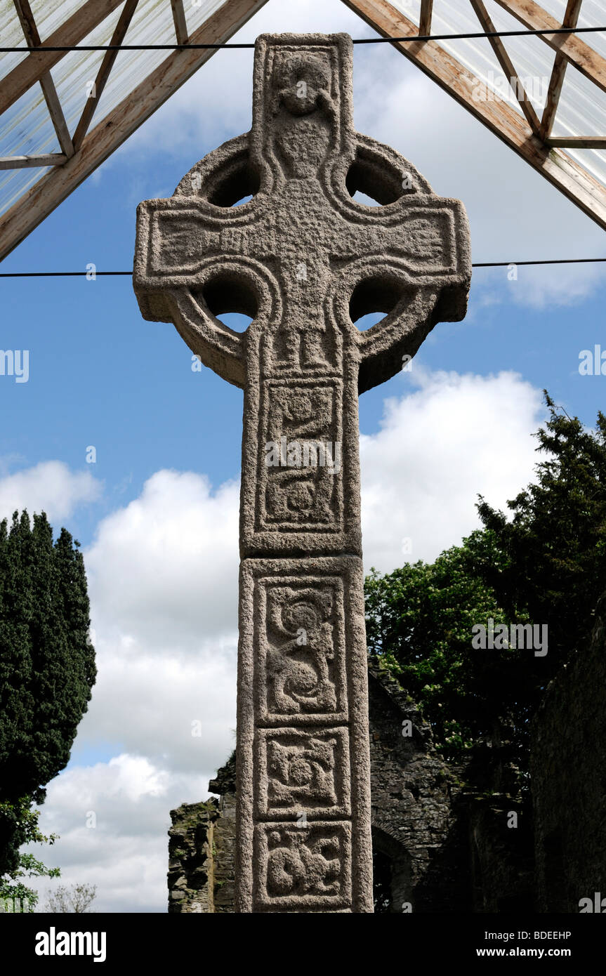 Moone hohe cross County Kildare, Irland Stockfoto