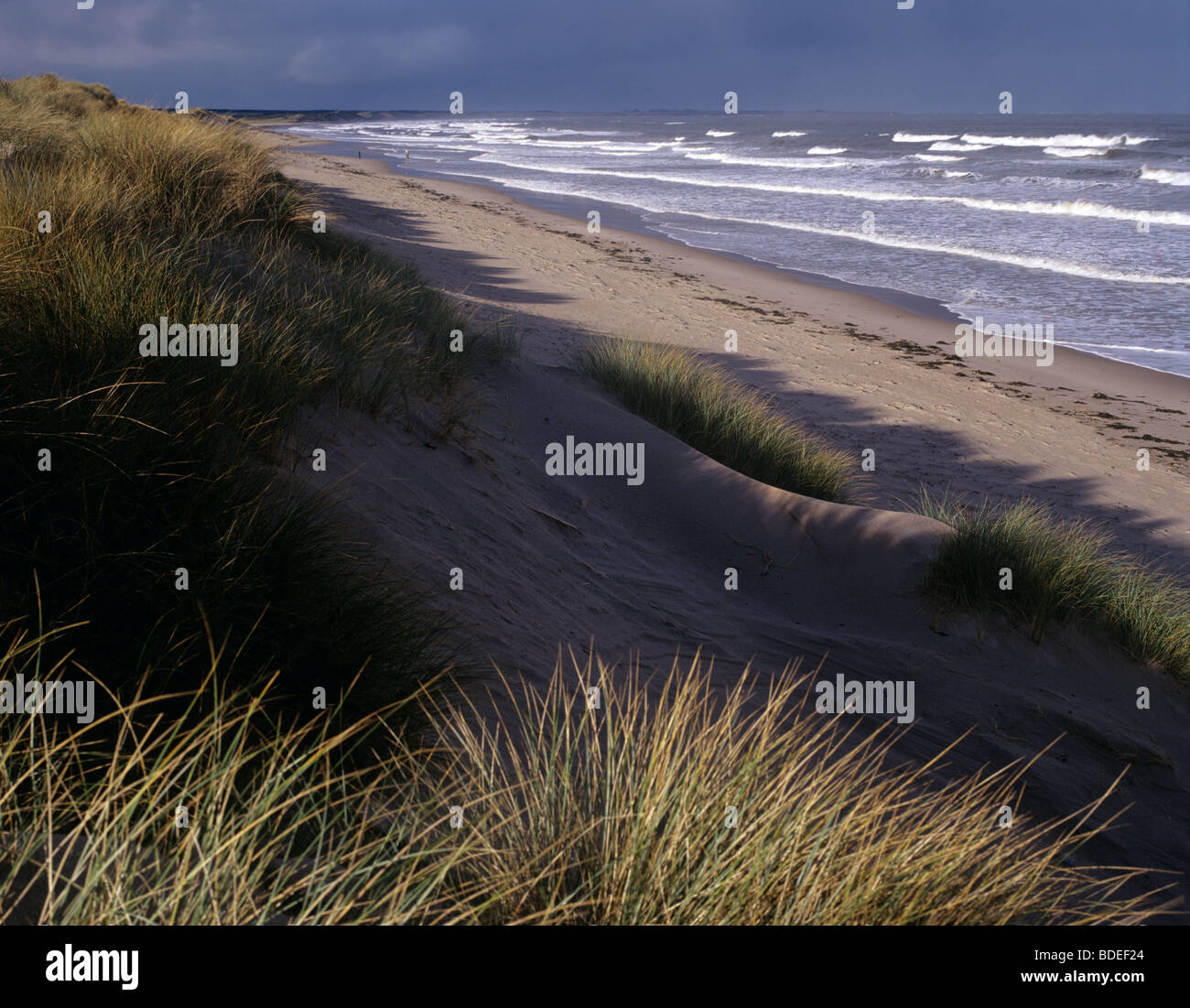 Die Dünen und Strand in Druridge Bay, Northumberland, Großbritannien Stockfoto