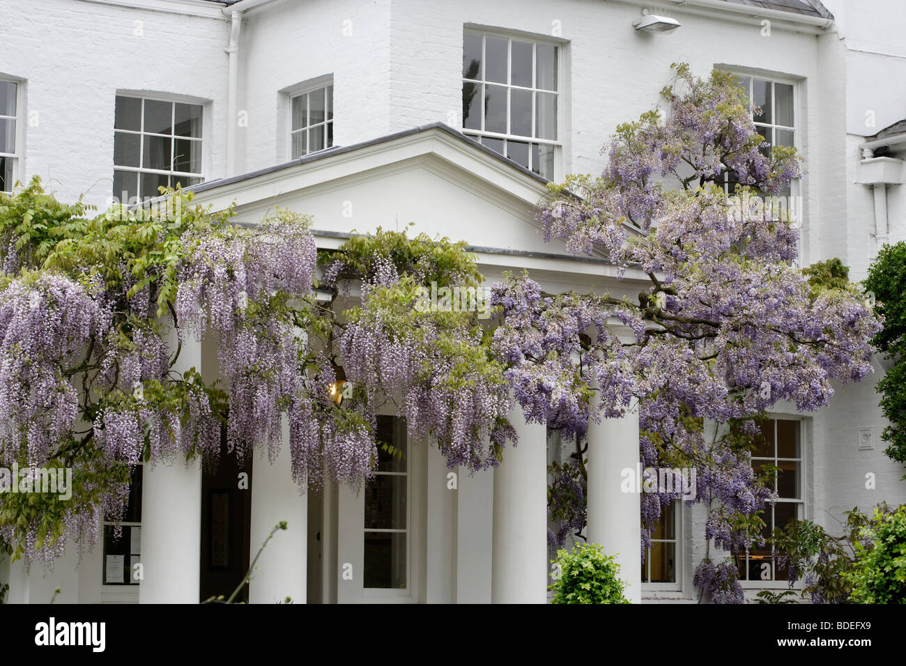 Pembroke Lodge, Richmond Park, London, UK Stockfoto