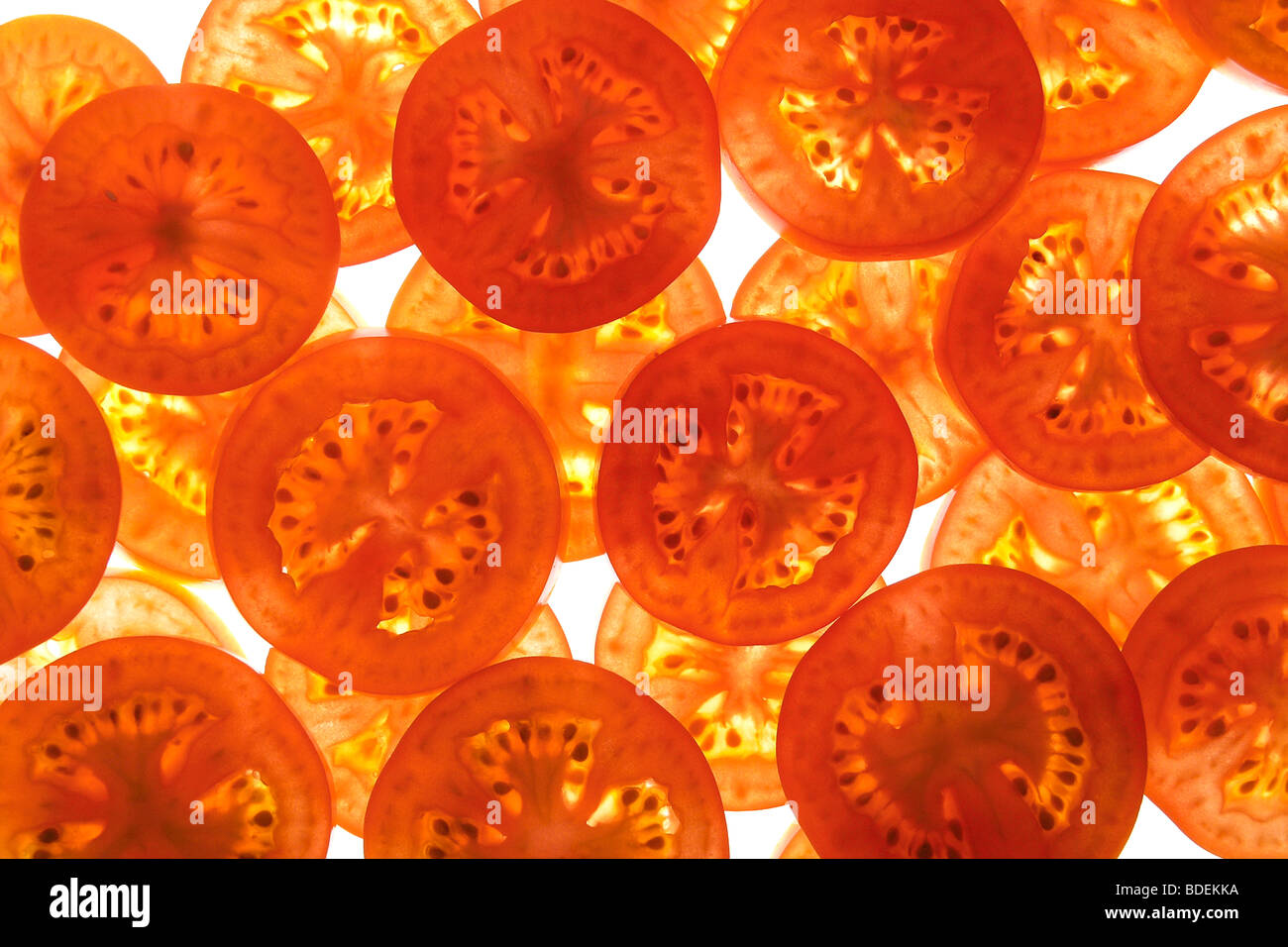 Tomaten Stockfoto