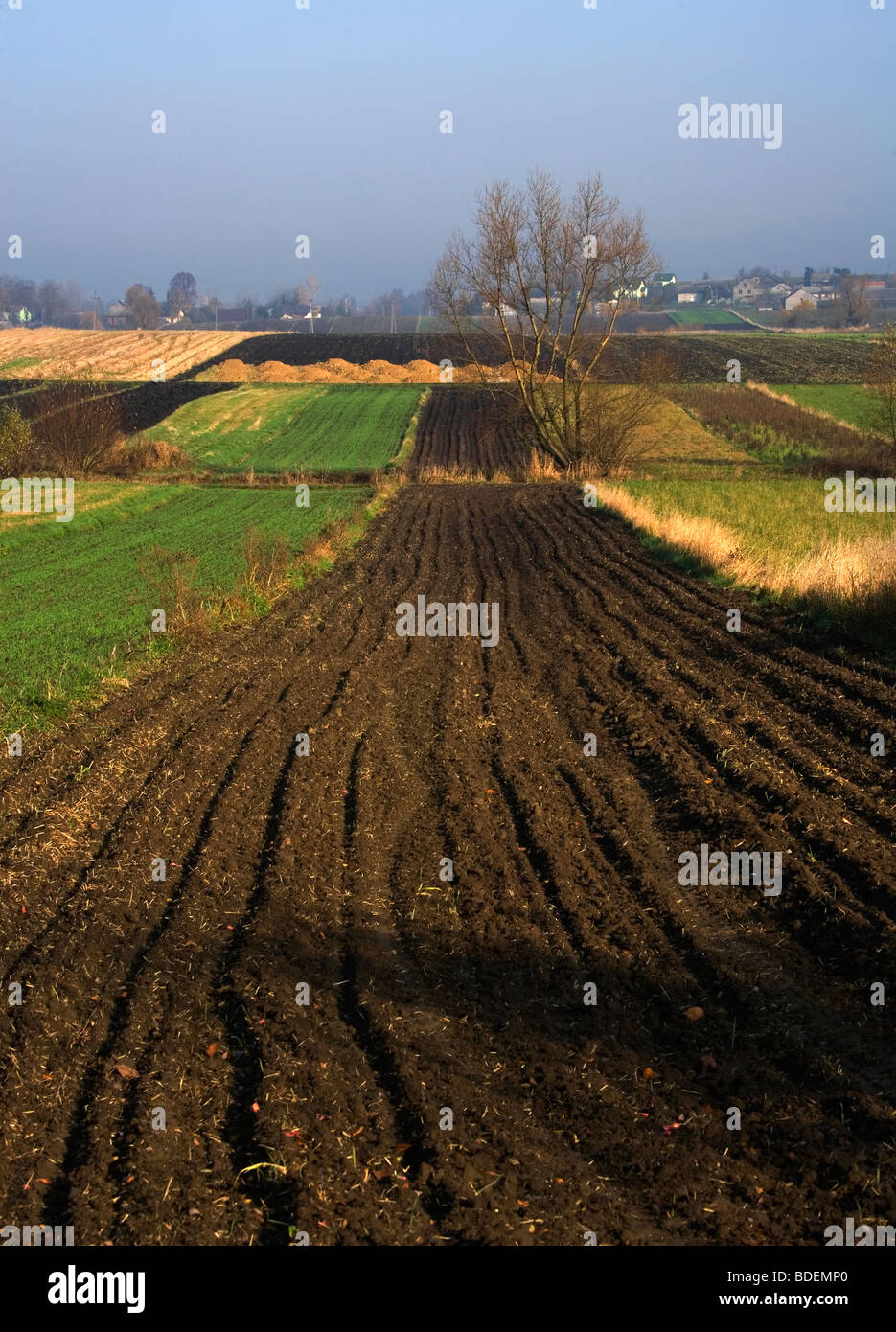 Geringerem Polen Landwirtschaft Stockfoto