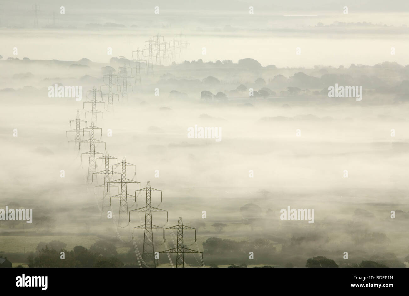 Strommasten im Morgennebel. Marshwood Vale. Dorset. England. VEREINIGTES KÖNIGREICH. Stockfoto