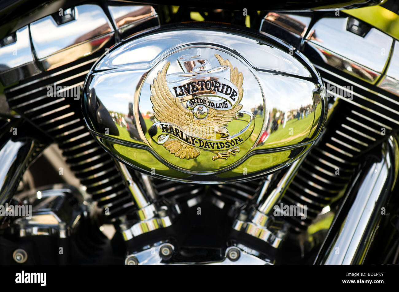 Harley Davidson Motorrad-V-Twin-Motor mit "Leben zu reiten" benutzerdefinierte Gehäuse Nahaufnahme Detail. Selektiven Fokus Stockfoto