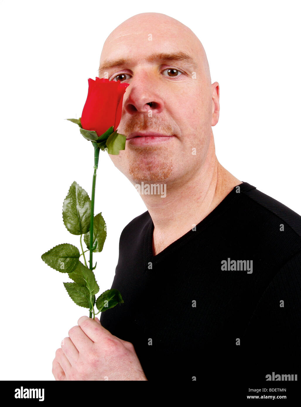 Glatze Mann mit roten Rose unter der Leitung Stockfoto