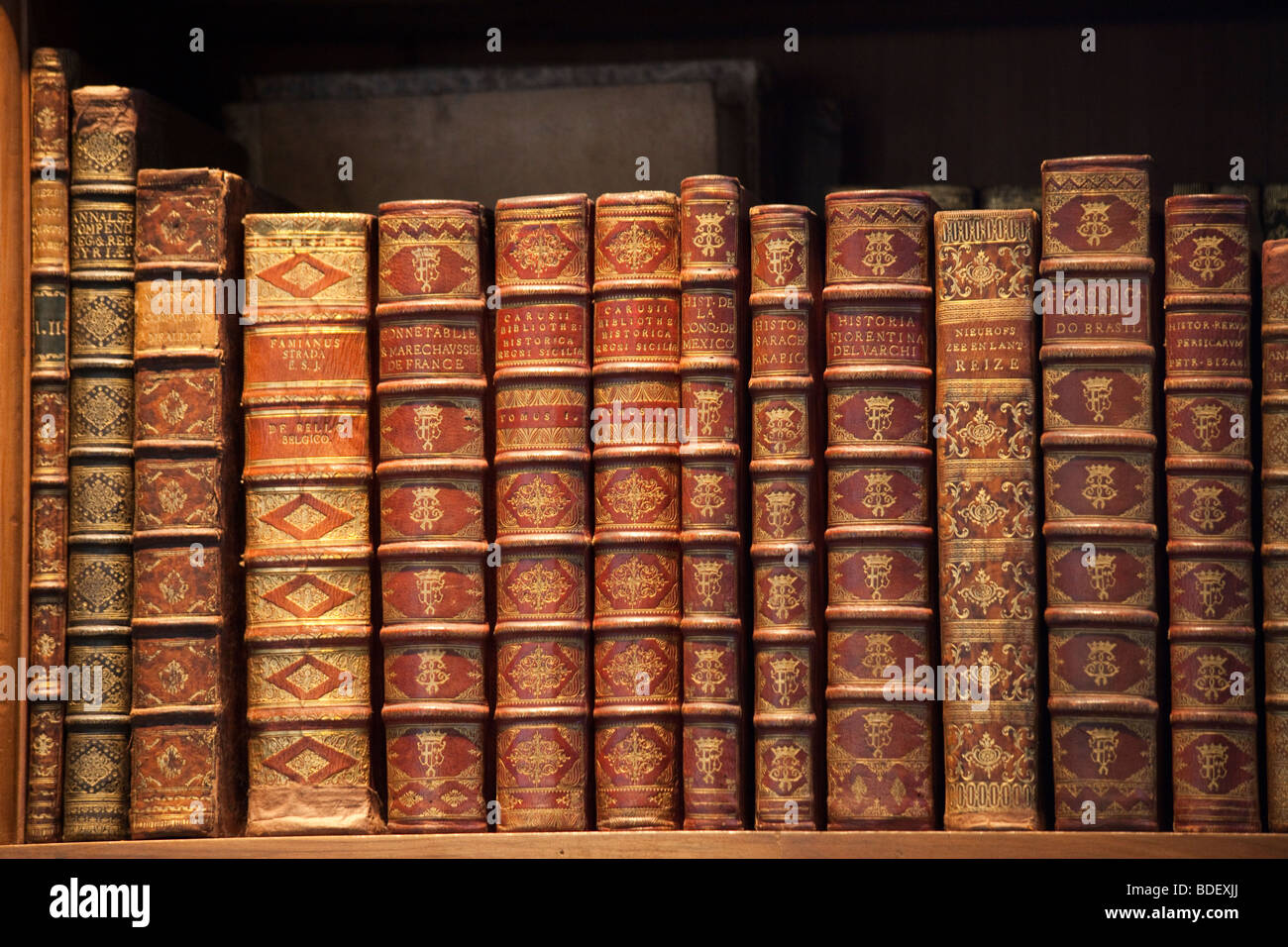 Antiquarische Bücher im Prunksaal, Österreichische Nationalbibliothek, Wien, Österreich Stockfoto