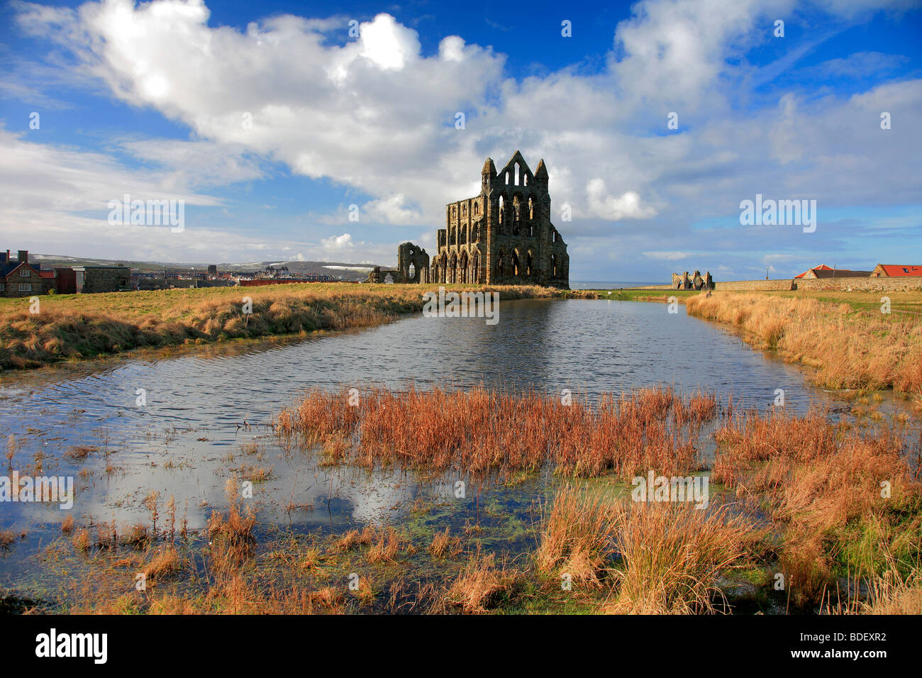 Landschaft Whitby Abbey Ruinen North Yorkshire Moors Südküste England UK Stockfoto