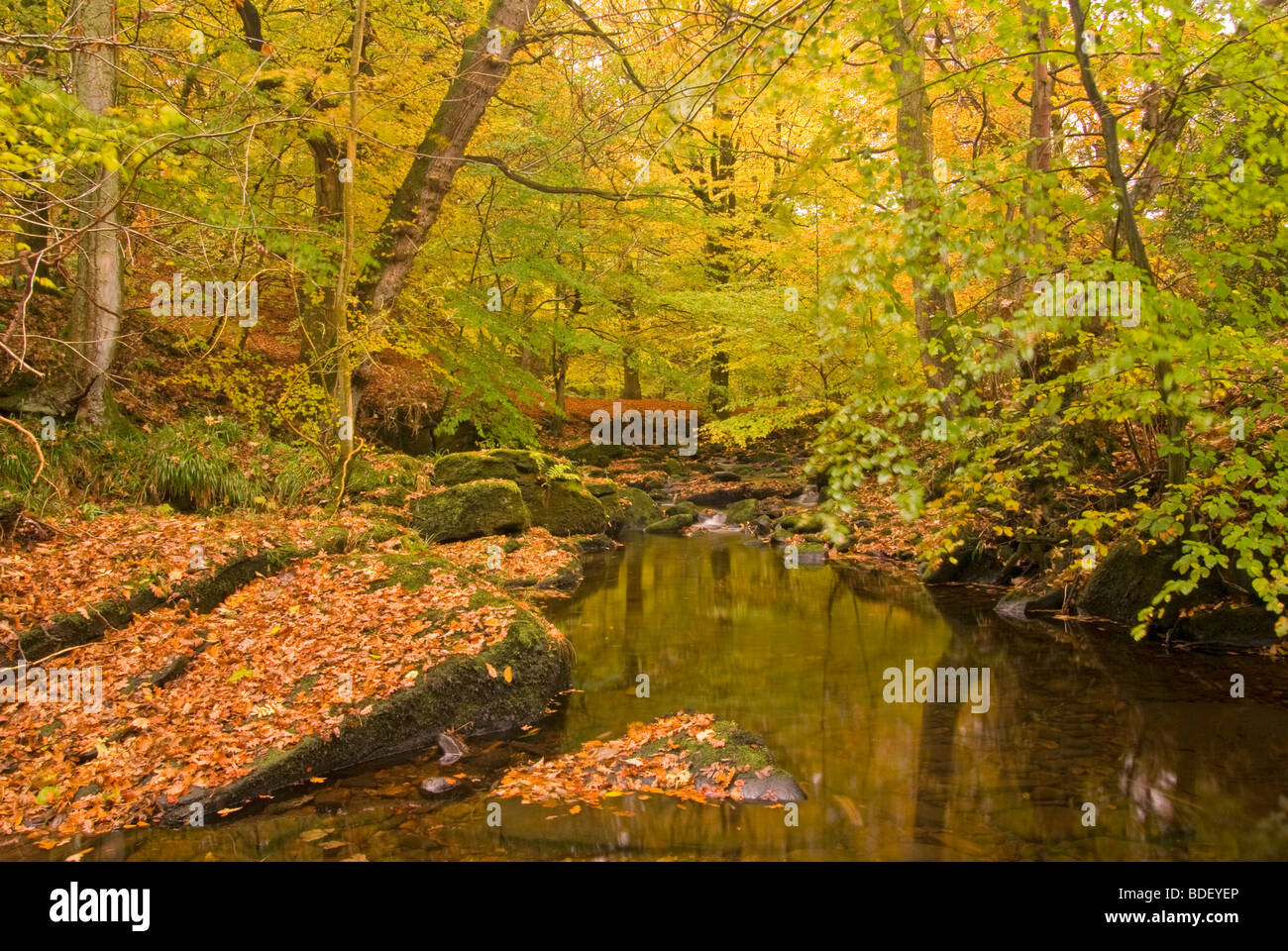 Ein Strom in Bösingen Yorkshire England Stockfoto