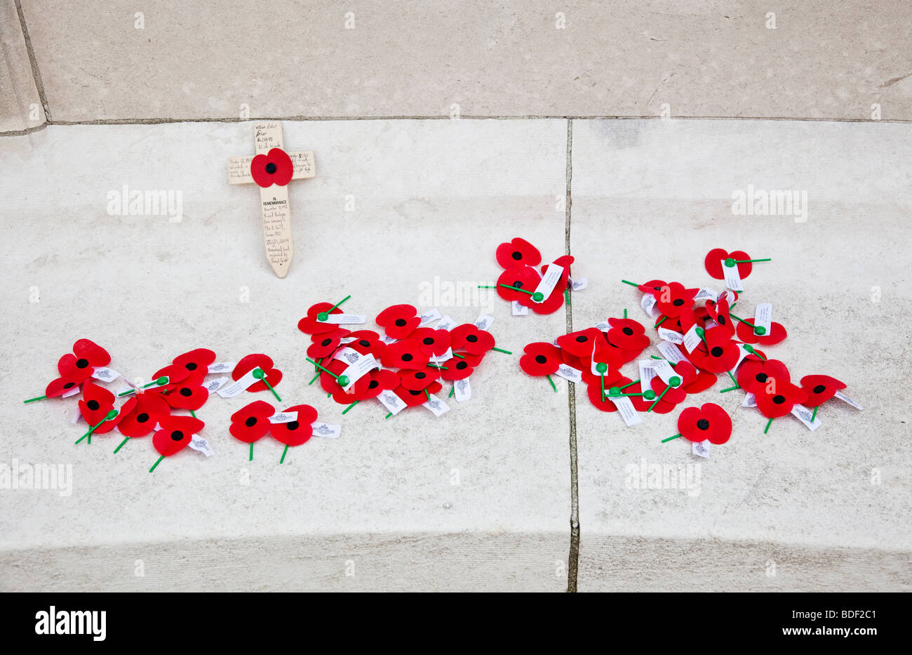 Mohnblumen auf Tyne Cot WW1 Commonwealth Militärfriedhof Passchendaele Flandern Belgien Europa Stockfoto