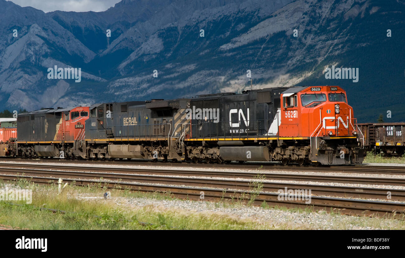 Canadian National Zug ziehen in Jasper Hof West gebunden, mit einem Stockfoto