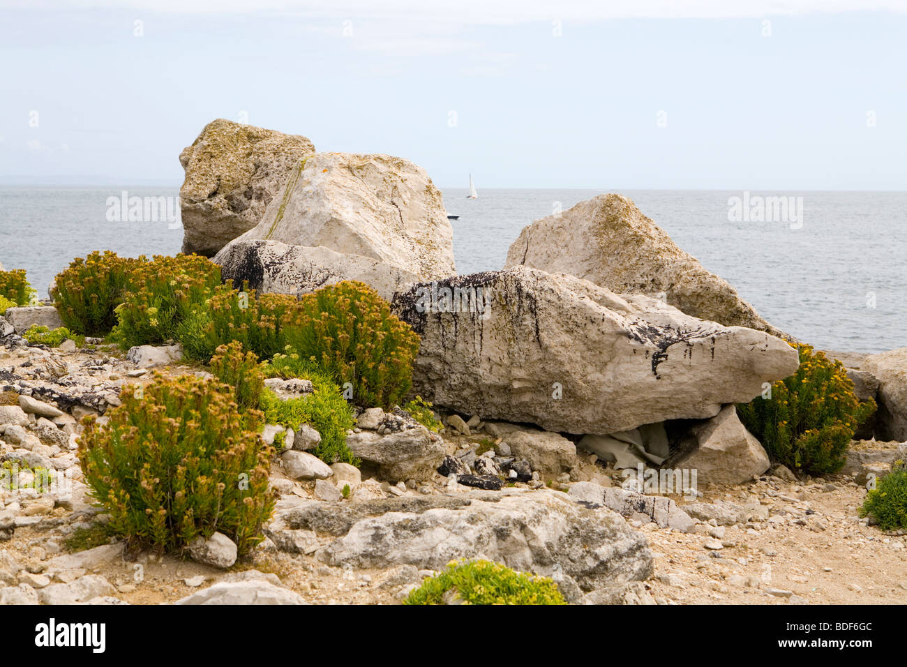 Portland (Naturstein) Stockfoto