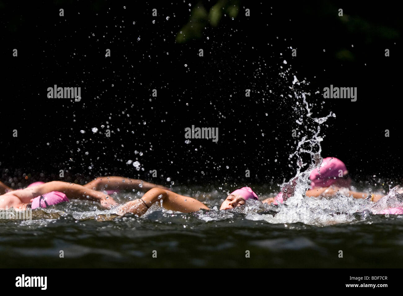 Schwimmer konkurrieren in einem Xterra Triathlon. Stockfoto