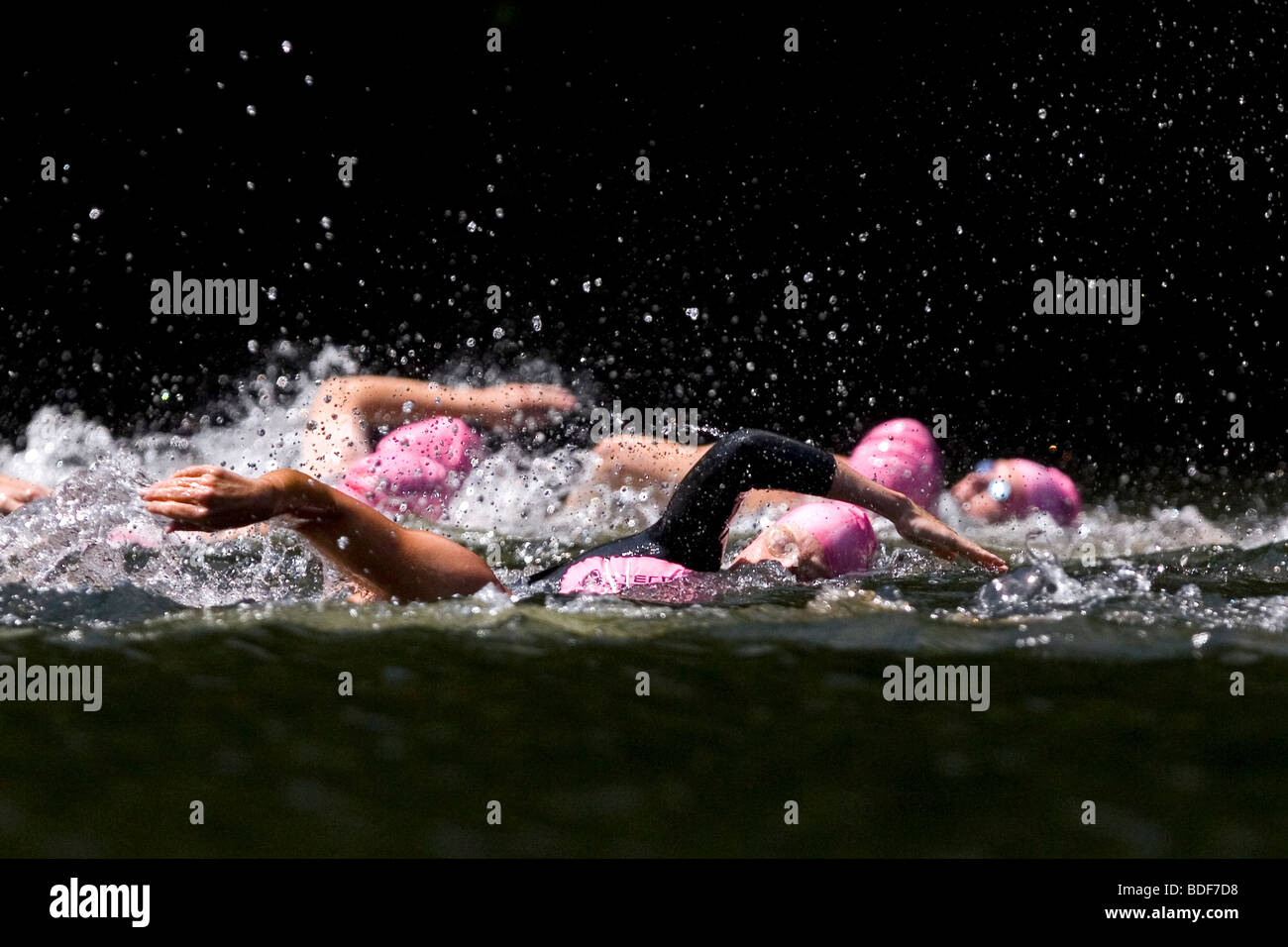 Schwimmer konkurrieren in einem Xterra Triathlon. Stockfoto