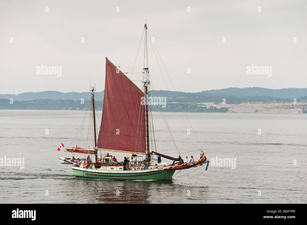 Den majestätischen Großsegler Thane Segeln vorbei an Ogden Point und in den Innenhafen Bereich der Victoria, British Columbia, Kanada. Stockfoto