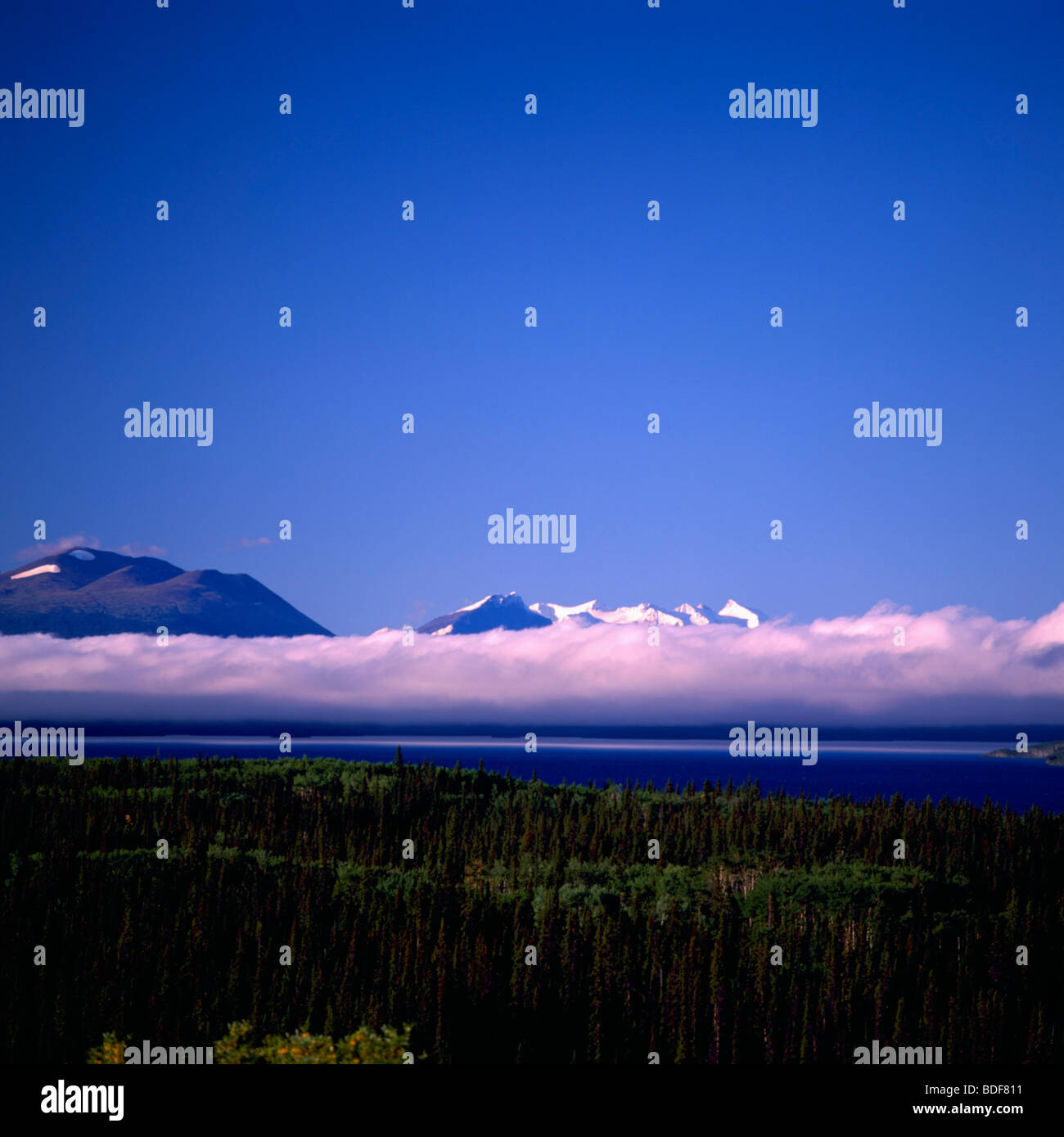 Atlin see provinzieller park -Fotos und -Bildmaterial in hoher ...