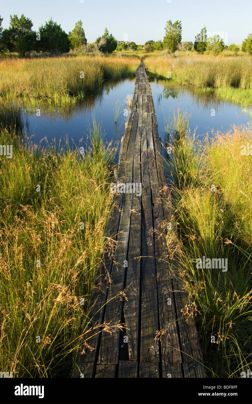 Holzsteg auf Jekyll Punkt - Jekyll Island, Georgia USA Stockfoto