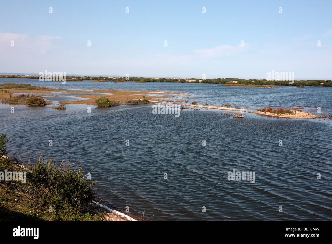 Dungeness RSPB Reserve, Kent Stockfoto