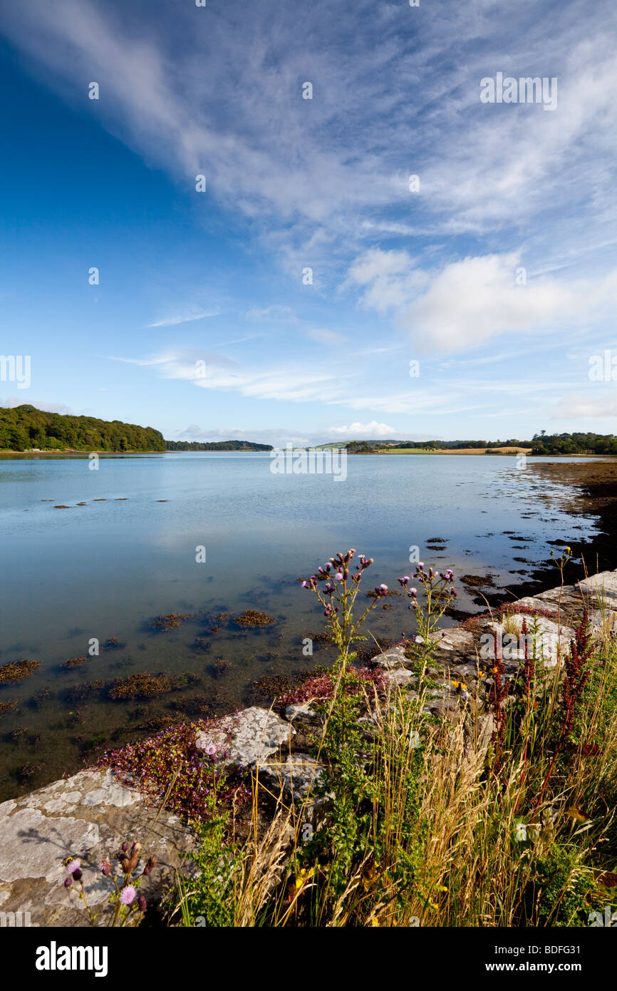 Strangford Lough, Nordirland, Vereinigtes Königreich Stockfoto