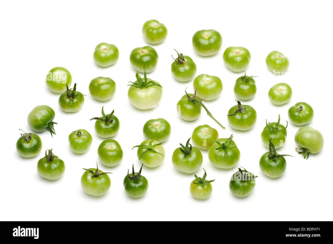 Sammlung von grünen und weißen Tomaten 'Solanum Lycopersicum' Stockfoto
