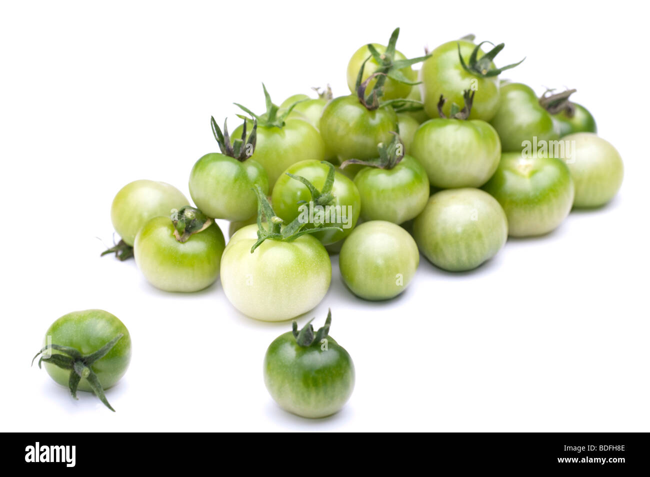Haufen von grünen Tomaten 'Solanum Lycopersicum' Stockfoto