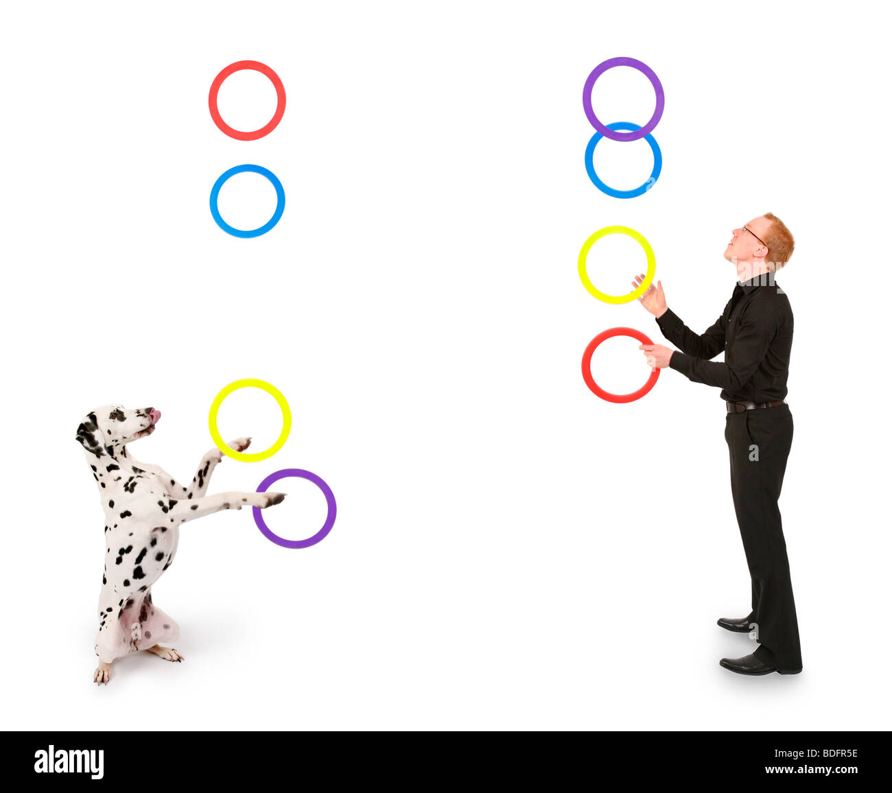 Dalmatiner (Canis Lupus F. Familiaris), Youn Mann Lehre seinen Hund Jonglieren mit Ringen Stockfoto