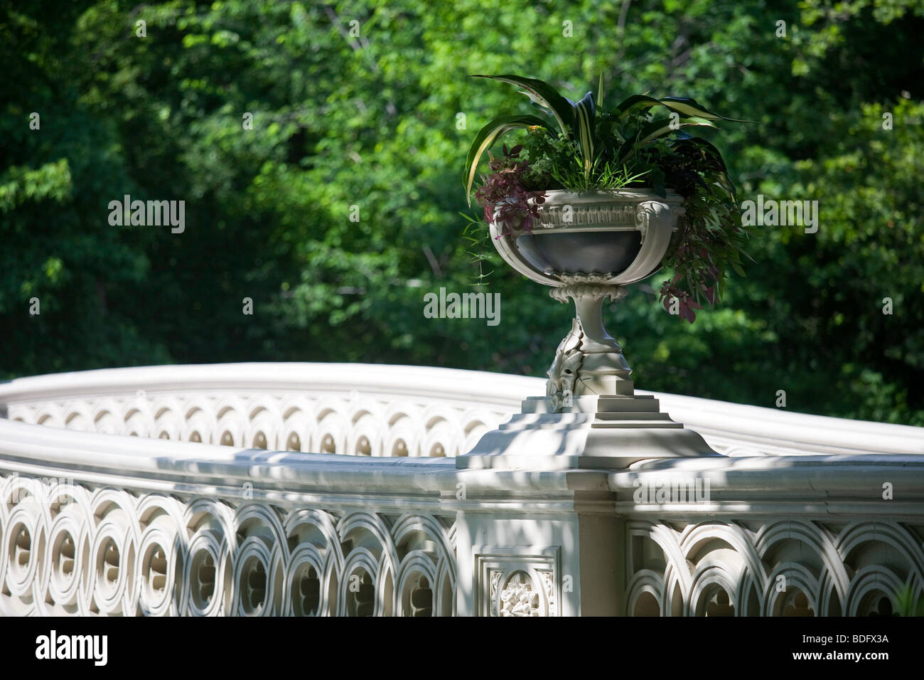 Bogenbrücke im Central Park in New York City Stockfoto