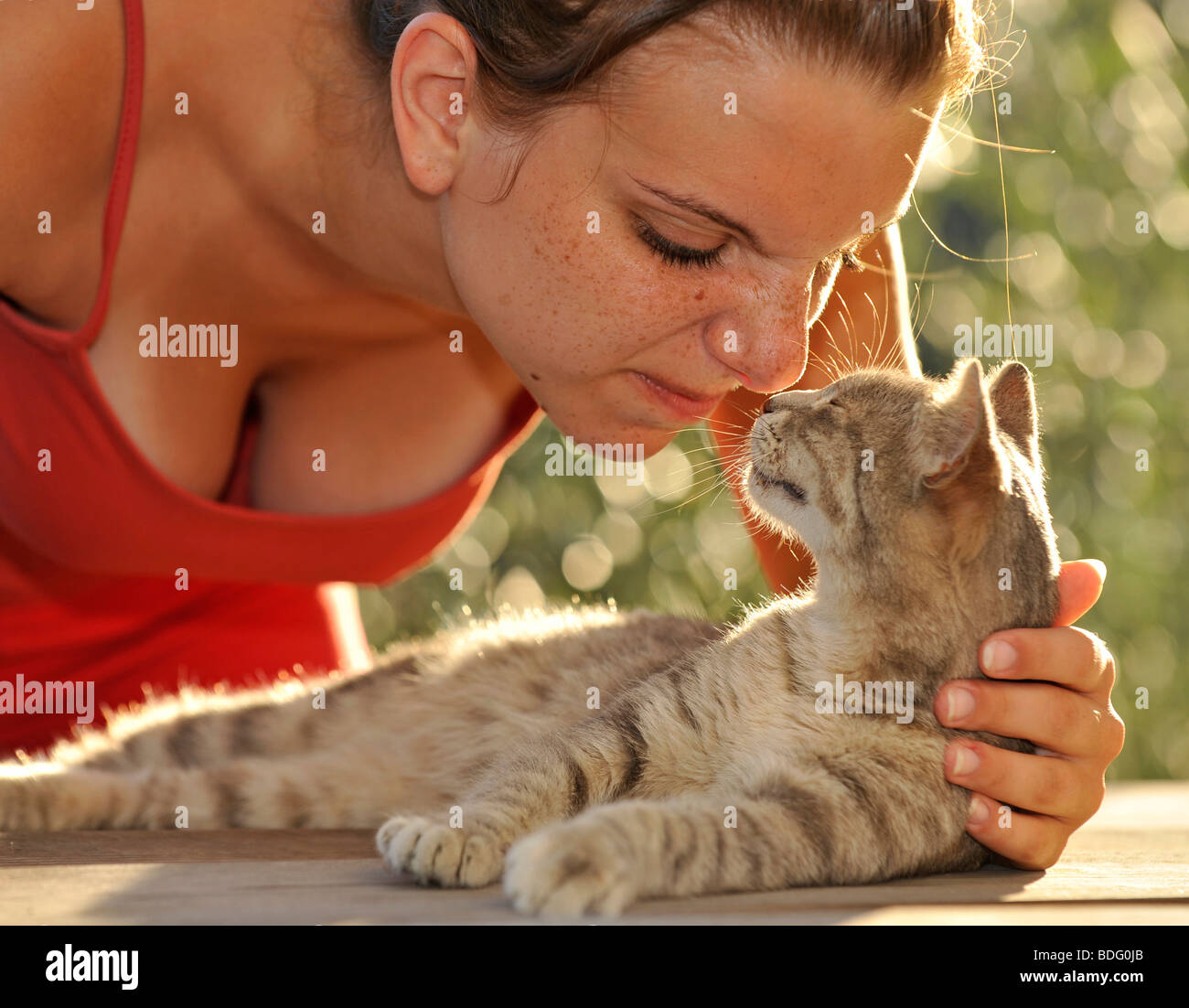 Tierliebe, Tabby Katze kuscheln mit Mädchen Stockfoto