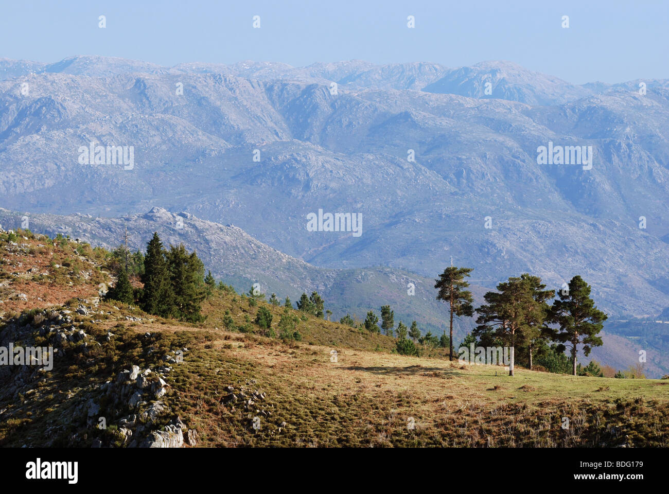 Hügel im Peneda Geres Nationalpark, Portugal Stockfoto