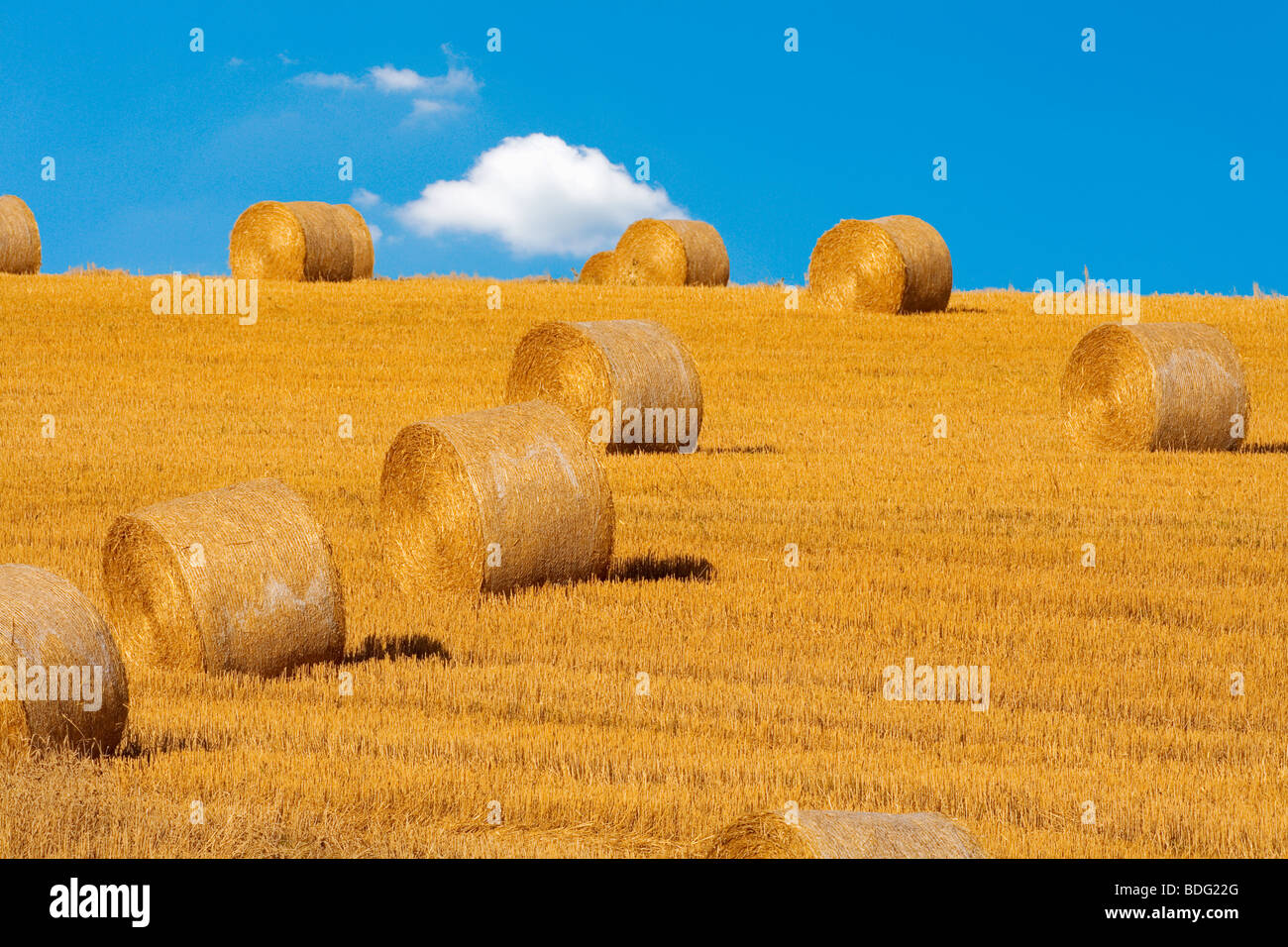 Feld mit Ballen Heu, blauer Himmel, Böhmen, Tschechien Stockfoto