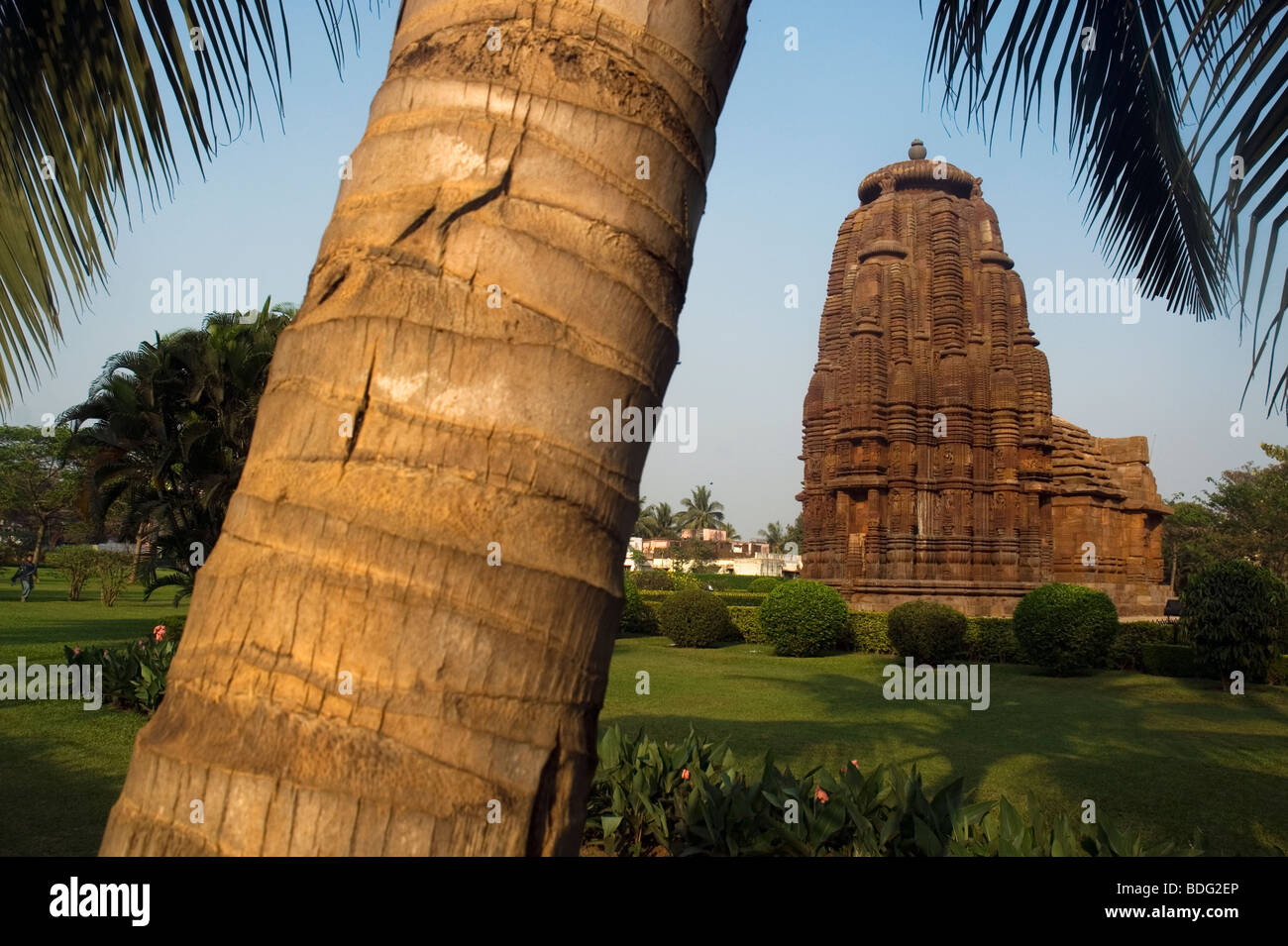 Rajarani Tempel, Bhubaneswar, Orissa, Indien. Stockfoto