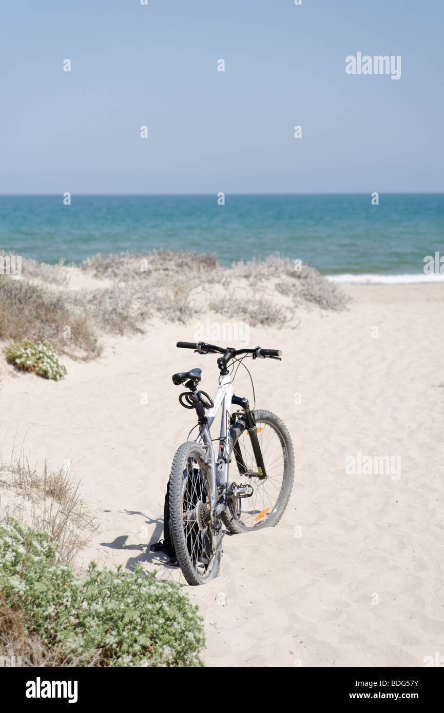 Mountain-Bike abgestellt auf leeren Sandstrand. El Saler. Valencia. Spanien Stockfoto
