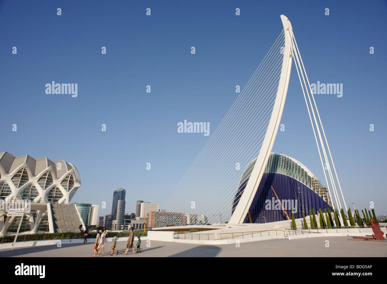 Assut d ' or Brücke (aka Serreria) in Valencia, die vom Architekten Santiago Calatrava entworfen. Spanien Stockfoto