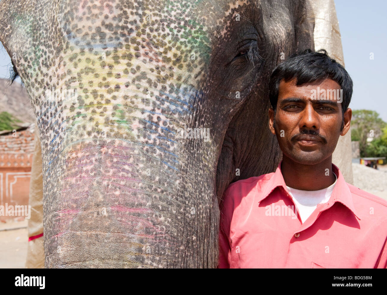 Indischer Mann mit seinem Elefanten Rajasthan Indien Stockfoto