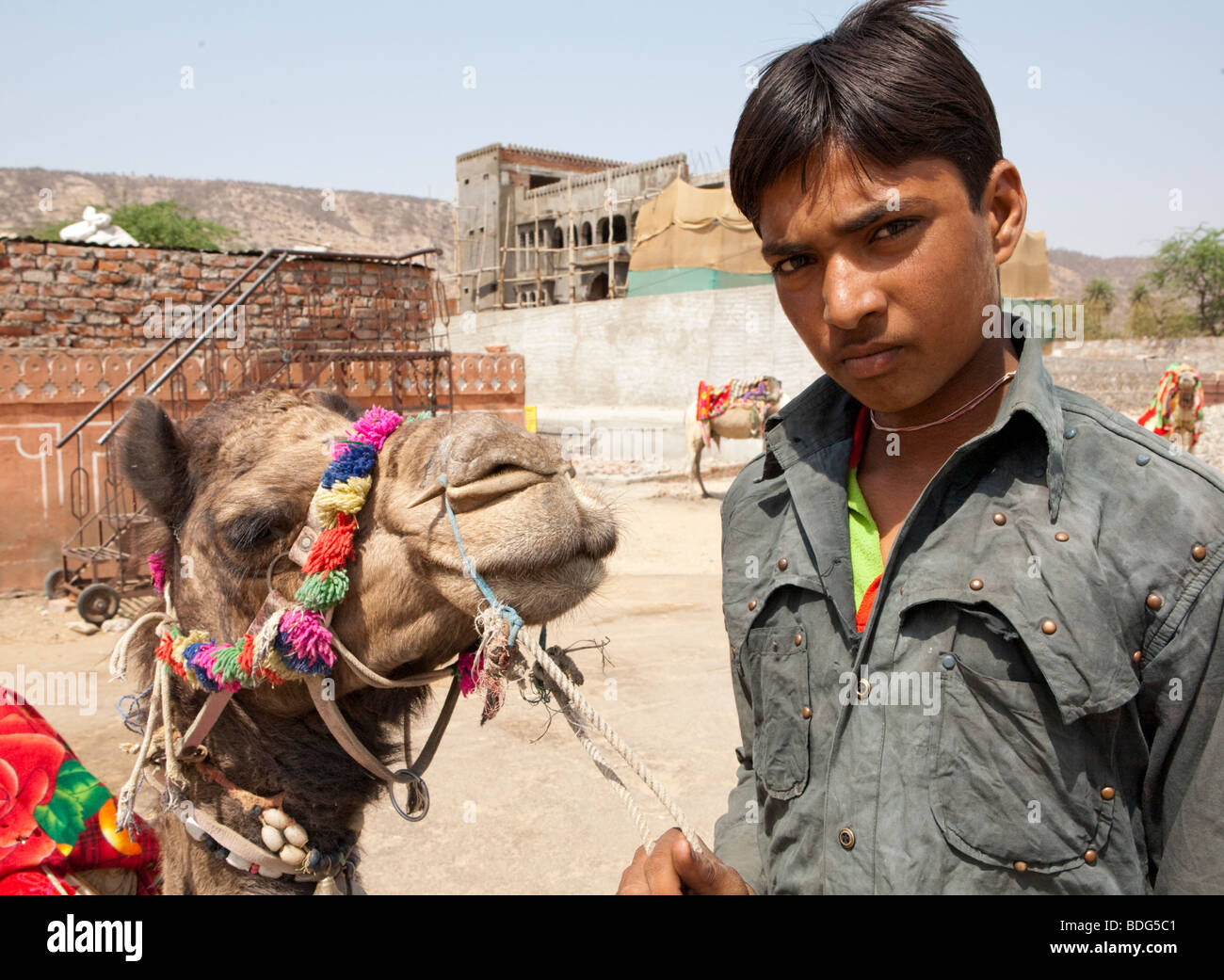 Indischer Junge mit seinem Kamel Rajasthan Indien Stockfoto